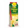 Džús HAPPY DAY 1l grapefruit 100%